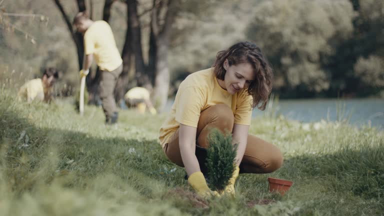Best Weed Control  in Lodi, CA