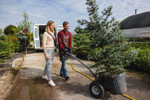 Best Tree Mulching  in Lodi, CA